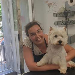 Evasion Canine, Salon de toilettage, Espalion - Horaires d'ouverture