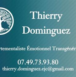 Thierry Dominguez Comportementaliste Emotionnel Transgénérationnel, Montauban - Horaires d'ouverture