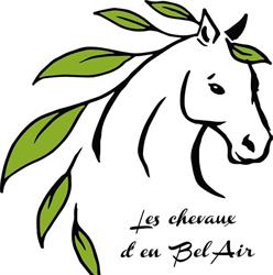 Les chevaux d'en Bel Air, Navès - Horaires d'ouverture