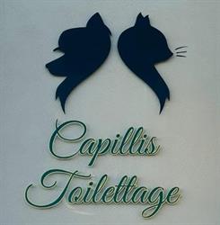 Capillis Salon de toilettage, Camon - Horaires d'ouverture
