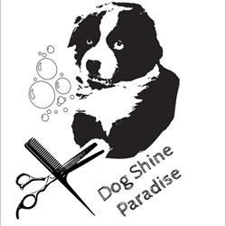 Dog Shine Paradise, Genech - Horaires d'ouverture