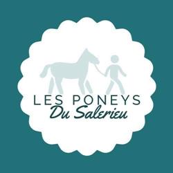 Les Poneys Du Salerieu 38 Balade à poneys, La Bâtie-Montgascon - Horaires d'ouverture