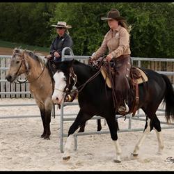 Vexin Horsemanship, Vexin-sur-Epte - Horaires d'ouverture