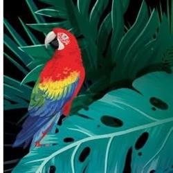 JARDINERIE AMAZOONIE, Lorgues - Horaires d'ouverture