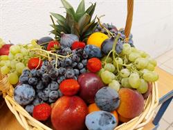 S.A.F.L. Sarthe Anjou Fruits et Légumes, La Flèche - Horaires d'ouverture
