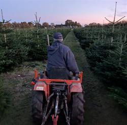 Sapins du Tregor, Rospez - Horaires d'ouverture