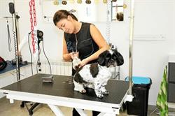 BOL D'Hair CANIN, Plougasnou - Horaires d'ouverture