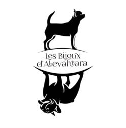 Les Bijoux d'Alevahtara, Ussel - Horaires d'ouverture