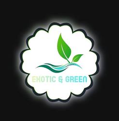 Exotic & Green, Holving - Horaires d'ouverture