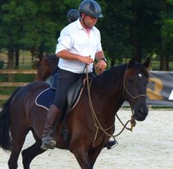 David Doucinot Equitation - L'HeXen, Boisse - Horaires d'ouverture