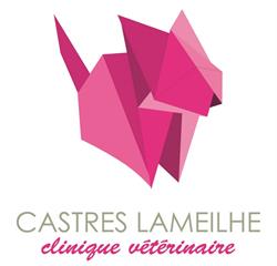 Clinique Vétérinaire Lameilhé, Castres - Horaires d'ouverture