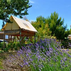 Flower Camping Domaine de La Palme, - Horaires d'ouverture