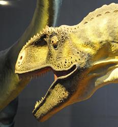 Musée des Dinosaures d'Espéraza, - Horaires d'ouverture
