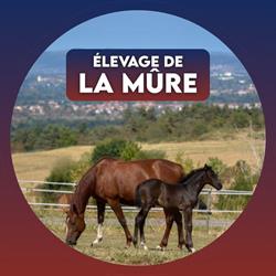 Élevage de la Mûre, Saint-Just-Saint-Rambert - Horaires d'ouverture