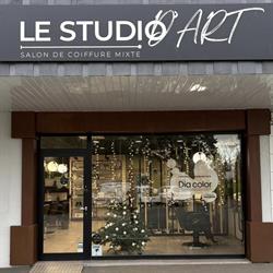 Le Studio D’Art, Changé - Horaires d'ouverture