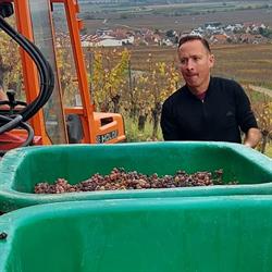 Domaine Fritz , Vigneron, Indépendant, Dégustation, Ventes, Vin, Location, Gîtes, Sigolsheim, Alsace, - Horaires d'ouverture