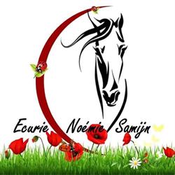 Ecurie Noémie Samijn, Nomain - Horaires d'ouverture