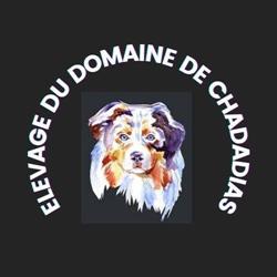 élevage/pension du domaine de chadadias, Tronchy - Horaires d'ouverture