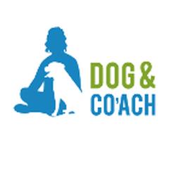 Dog and Co'ach, La Roche-sur-Yon - Horaires d'ouverture