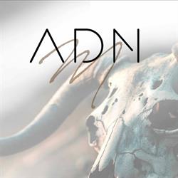 ADN Tattoo, Digoin - Horaires d'ouverture