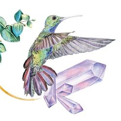 Colibri Minéraux, Sangatte - Horaires d'ouverture