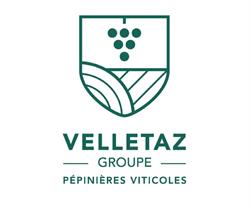 Pépinières Viticoles Velletaz Groupe - Agence Vaucluse, Jonquières - Horaires d'ouverture