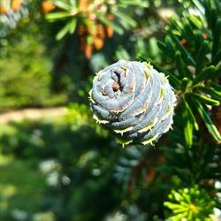 Mousseigt Elagage Et Jardins, Toulouse - Horaires d'ouverture