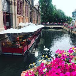 LA TERRASSE DU MARCHE, Colmar - Horaires d'ouverture