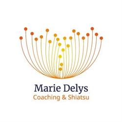 Marie DELYS - Coaching & Shiatsu, Sorigny - Horaires d'ouverture