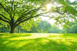 Centre Hypnocoaching, Les Vans - Horaires d'ouverture