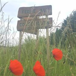 La Ferme Aux Coquelicots, Muzy - Horaires d'ouverture
