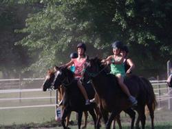 Gite PEYLIN & Elevage de poney Landais, Rivière-Saas-et-Gourby - Horaires d'ouverture