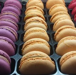 Pistache Chocolat, Rochefort - Horaires d'ouverture