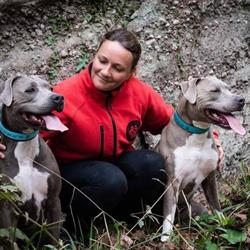 EDUC PATTES - Formations - Educateur Comportementaliste canin en Alsace, Mutzig - Horaires d'ouverture