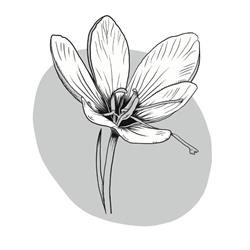 Le Petit Crocus, Liffré - Horaires d'ouverture