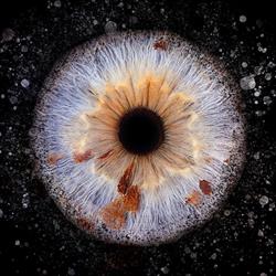 Iris art, Saint-Laurent-de-Mure - Horaires d'ouverture