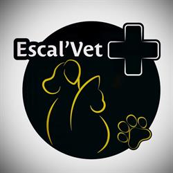 Clinique vétérinaire Escal'Vet, Escalquens - Horaires d'ouverture