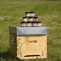 Bee Marmot France, Villeurbanne - Horaires d'ouverture