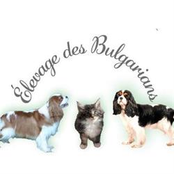 ELEVAGE DES BULGARIANS, Mensignac - Horaires d'ouverture