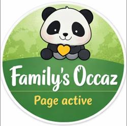 Family's Occaz - Le P’tit Bazar Malin, Machecoul - Horaires d'ouverture