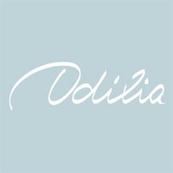 Odília Restaurant Brésilien Lyon 7, - Horaires d'ouverture