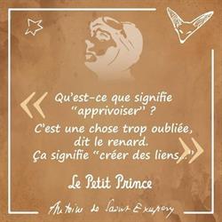 L'EmilePat's - Éducateur canin, Cayrac - Horaires d'ouverture