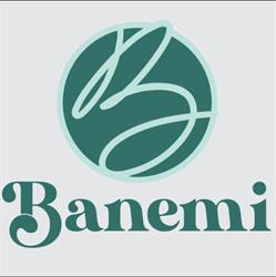 Banemi - Restaurant Vietnamien & Sandwich Banh mi - Paris 10, - Horaires d'ouverture