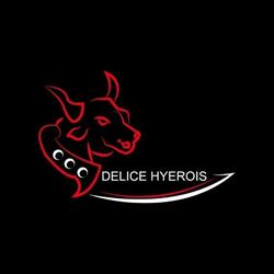 Boucherie halal - Delice Hyerois, Hyères - Horaires d'ouverture