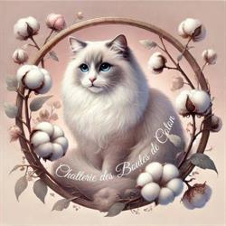 Chatterie des Boules de Coton, Aimargues - Horaires d'ouverture