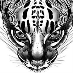 Datcha Tattoo . Tatoueur à Gap, - Horaires d'ouverture