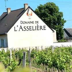 Domaine de L'asselière, Ingrandes-de-Touraine - Horaires d'ouverture