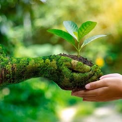 Marine LEFEVRE Naturopathe & praticienne en réflexologie, Montreuil - Horaires d'ouverture