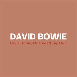 Les expositions Espace Hôtel de Lagoy - David Bowie, Mr Jones 'Long Hair, Saint-Rémy-de-Provence - Horaires d'ouverture