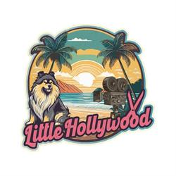 Little Hollywood toilettage canin - Boutique produits naturels pour chien, Levis - Horaires d'ouverture